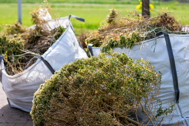 Reliable San Ysidro, NM Junk Removal Services Solutions